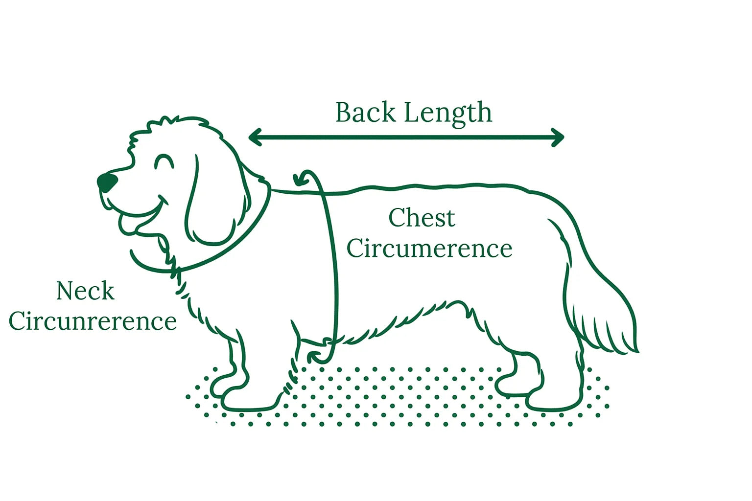 How to Measure Your Dog for the Perfect Fit (Size Guide Included)