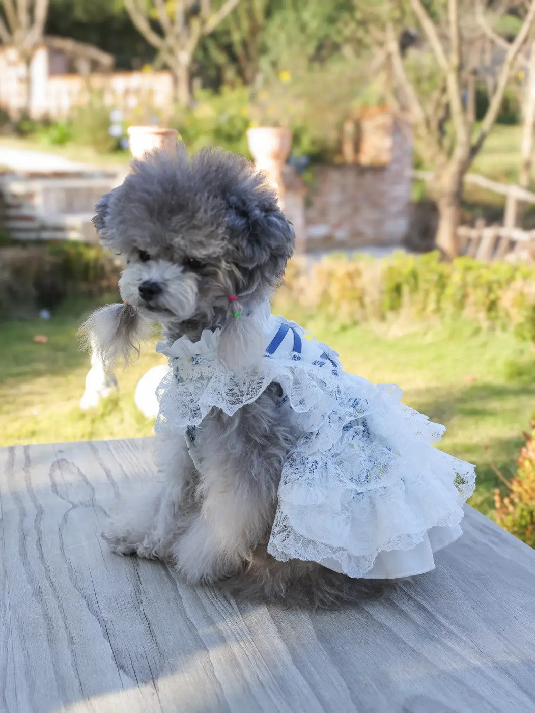 Aurora Shedding-Free Dress – Summer Princess Onesie for Small Dogs, White Court Style