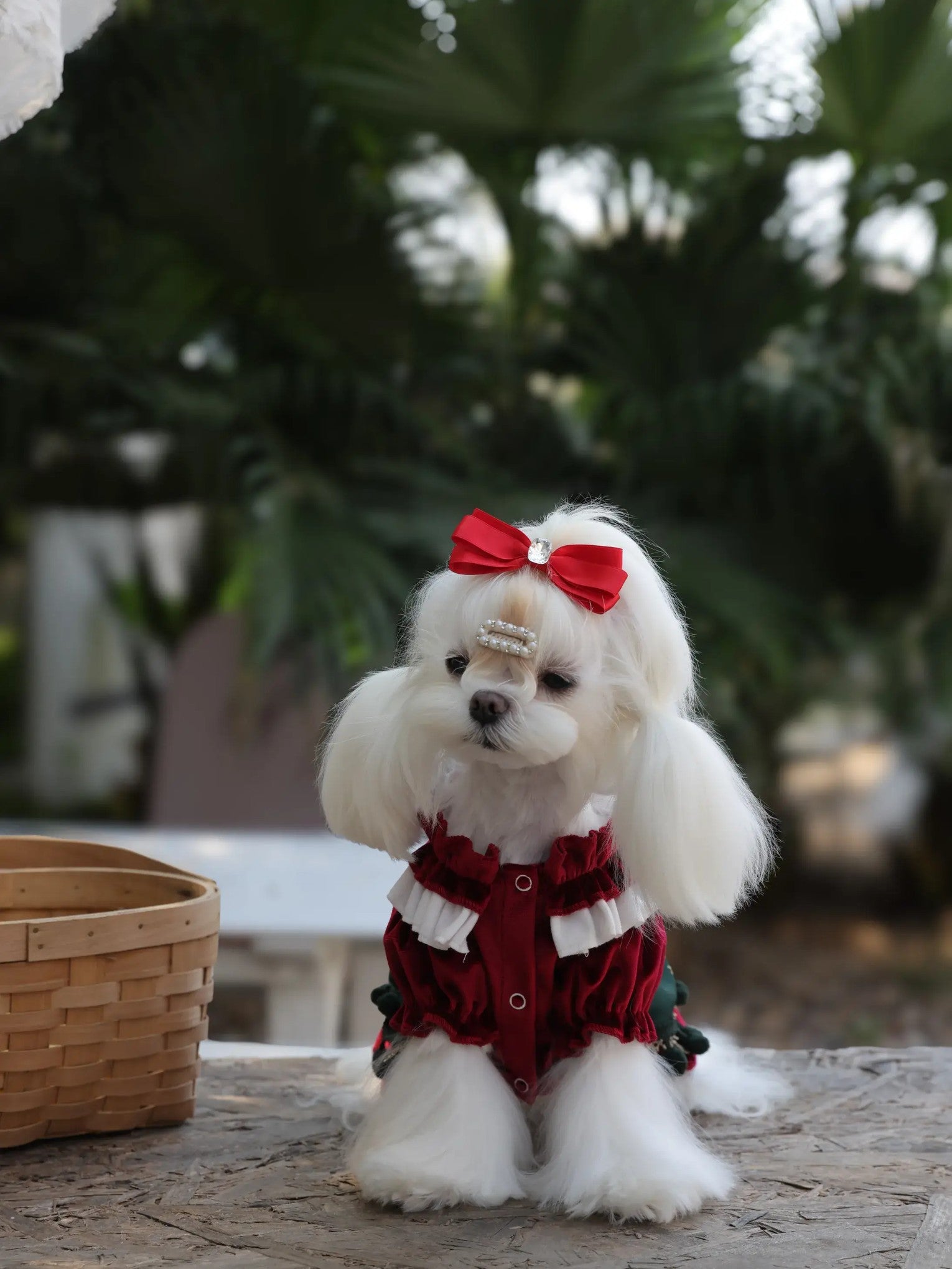 Velvet Christmas Princess Dog Romper - Anti-Shedding Dress for Small Puppies