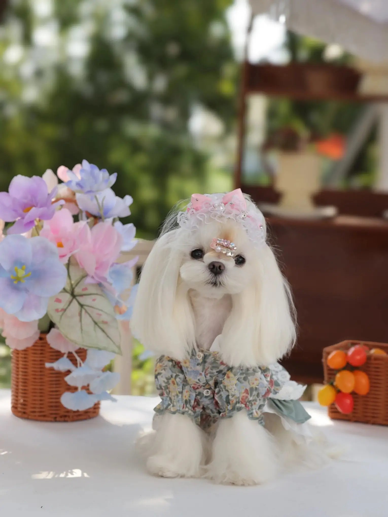 Amélie Spring Peach Dress – Floral Lolita Dog Princess Dress for Small Dogs
