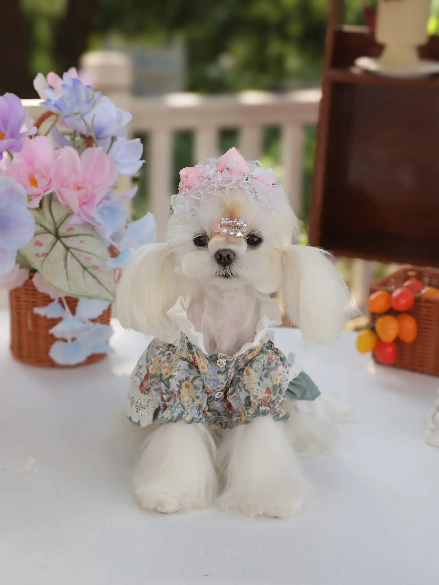 Amélie Spring Peach Dress – Floral Lolita Dog Princess Dress for Small Dogs