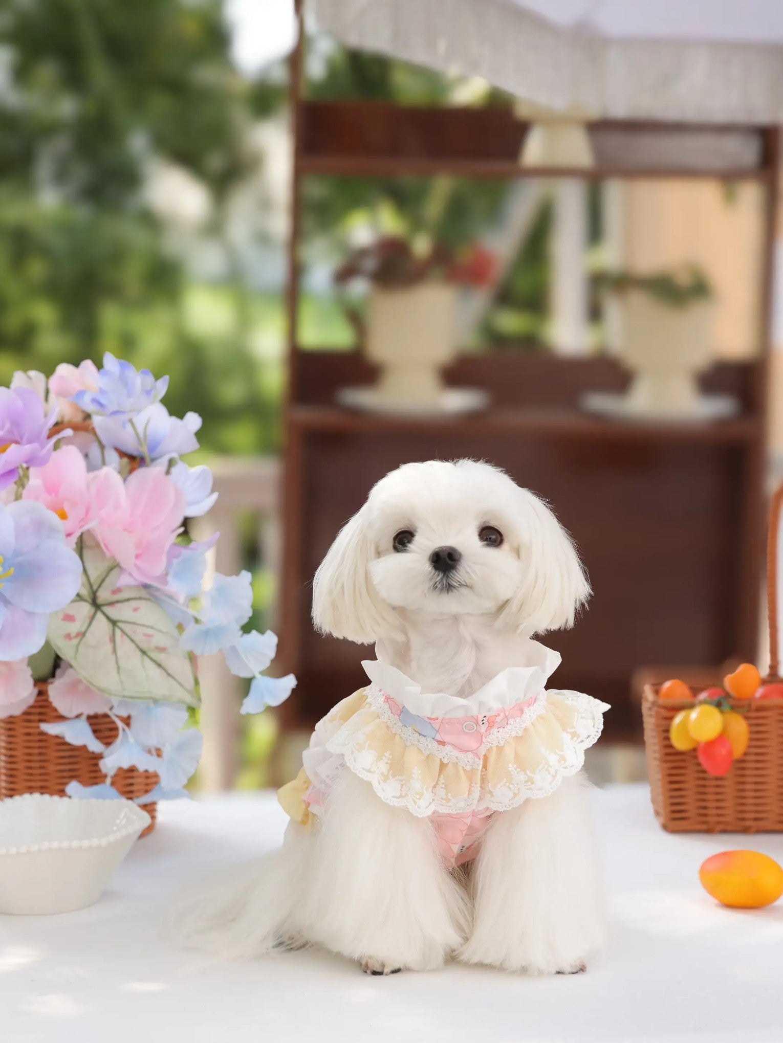 Étoile Ballet Dress – Cute Lolita Dog Skirt for Small Dogs, Satin Polyester