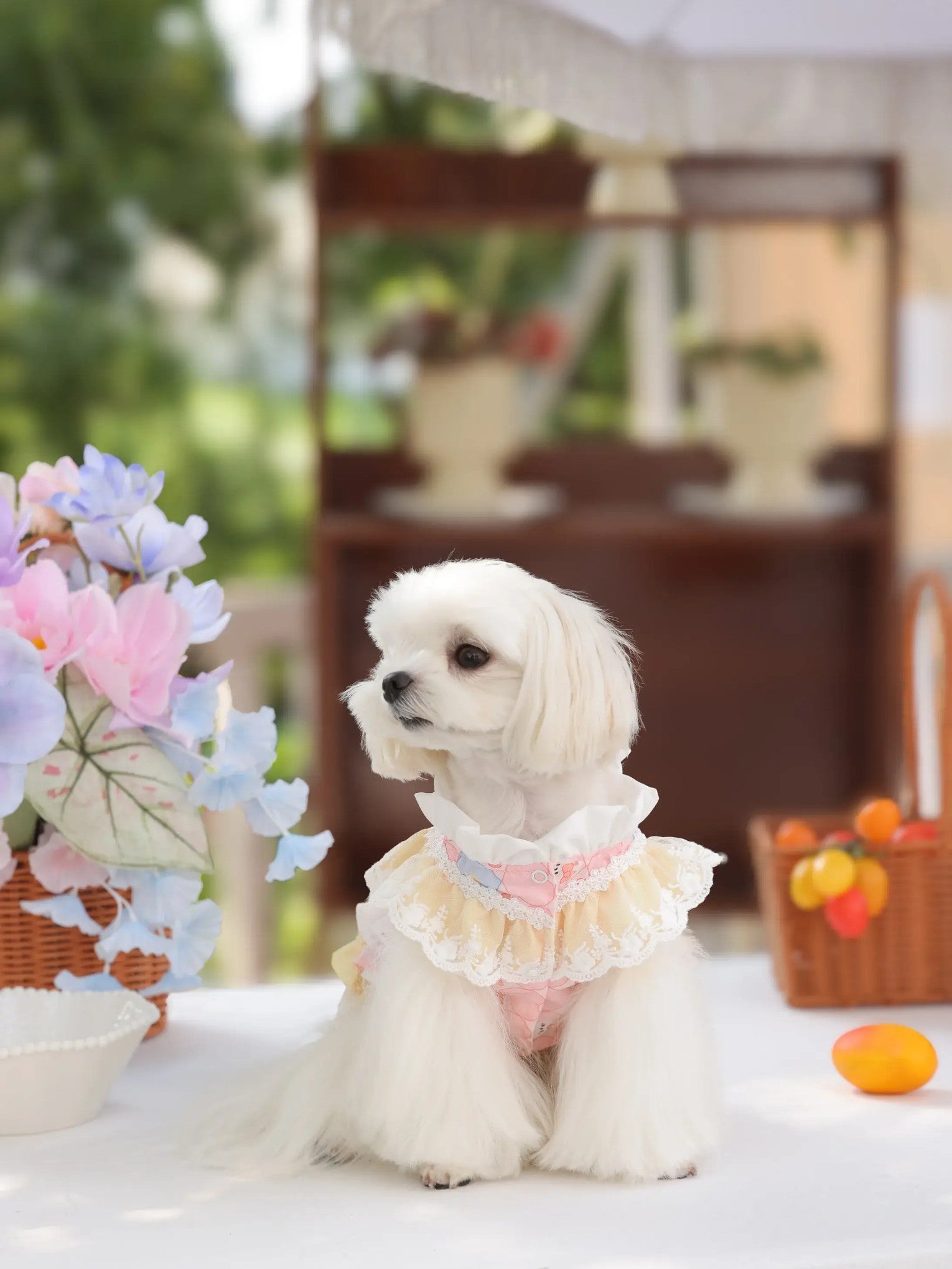 Étoile Ballet Dress – Cute Lolita Dog Skirt for Small Dogs, Satin Polyester