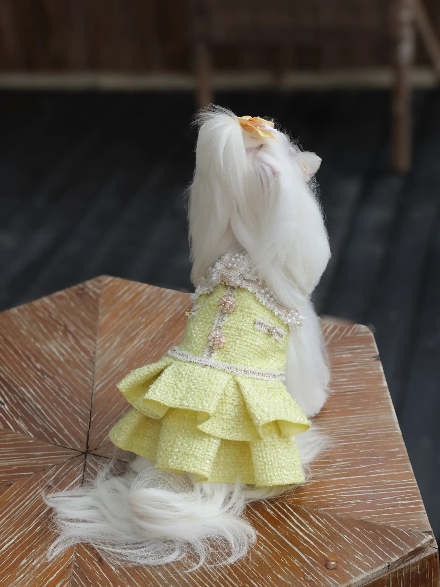 Bijou Chic Dress – Warm Princess Dog Dress for Small Maltese & Poodles, Yellow