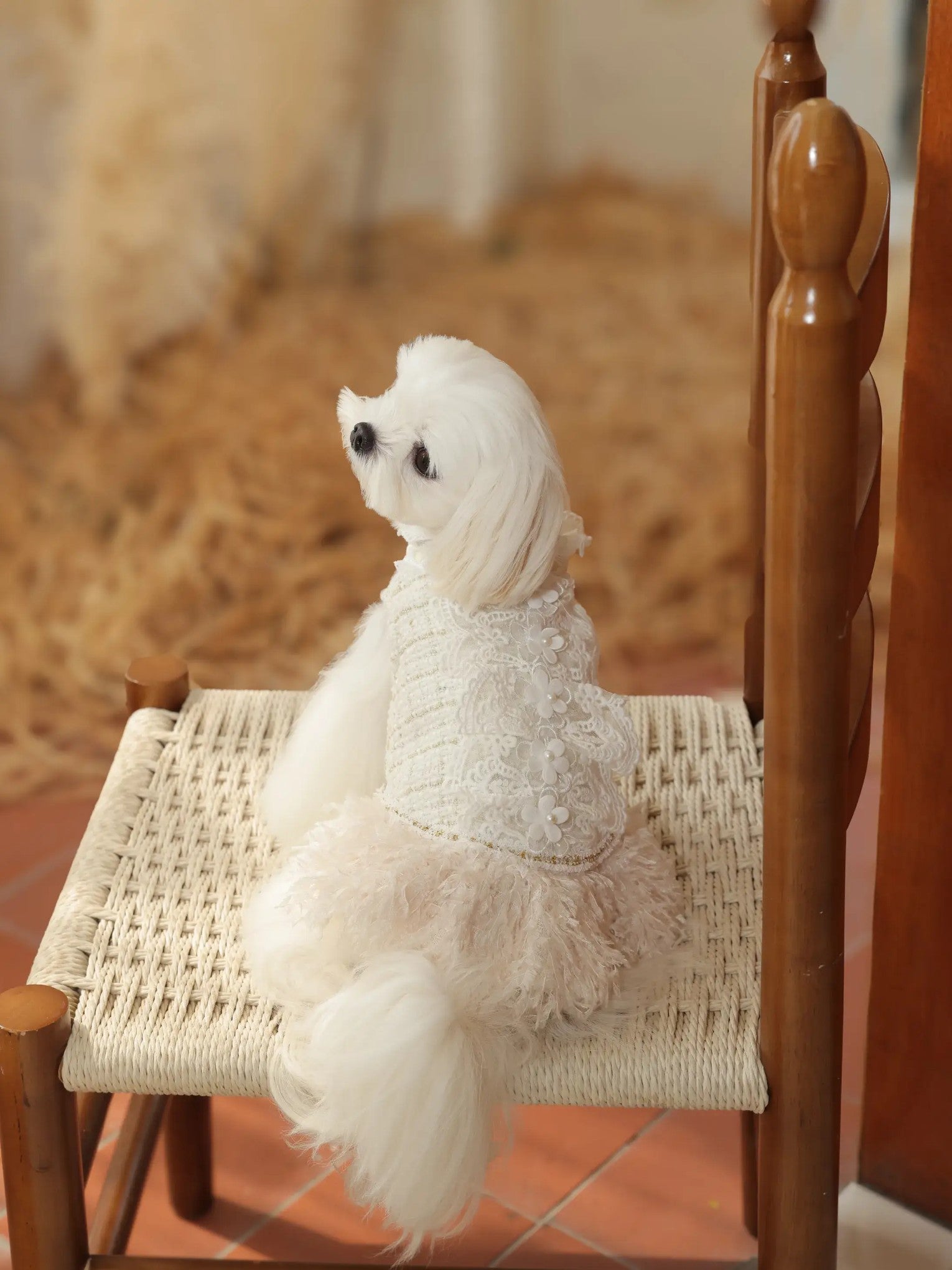 Fleur Bijou Dress – Tweed Princess Dog Dress with Floral Pearl Details for Small Dogs