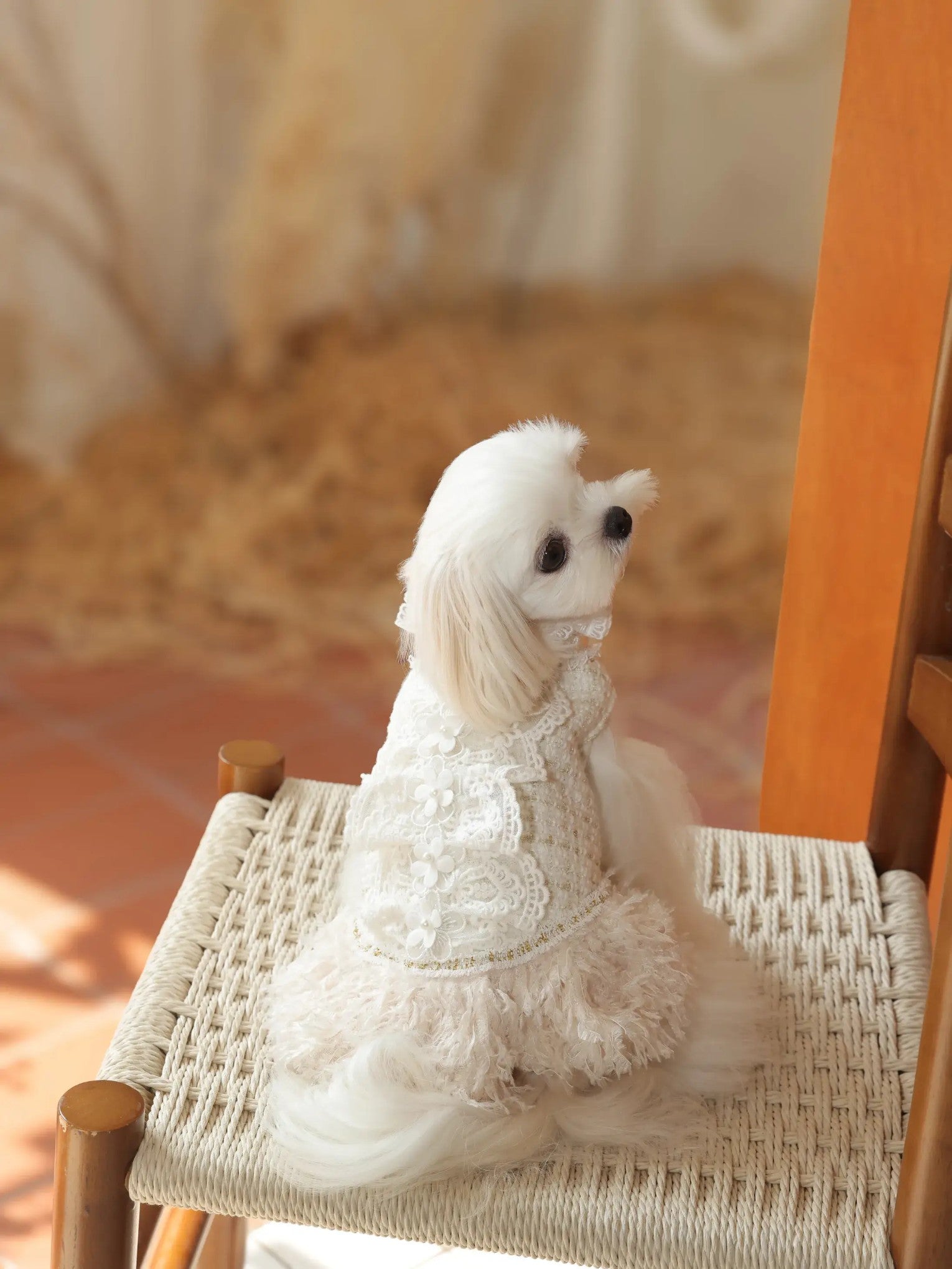 Fleur Bijou Dress – Tweed Princess Dog Dress with Floral Pearl Details for Small Dogs