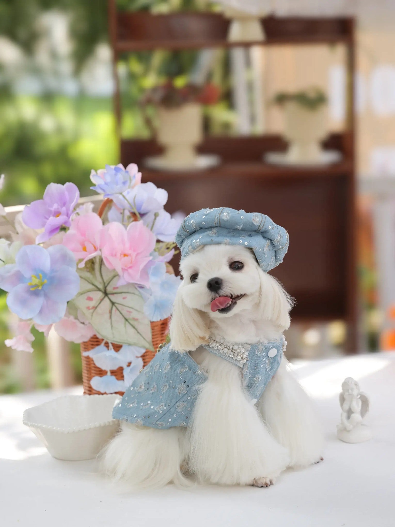 Denim Dream Vest – Cozy Fleece-Lined Dog Jacket for Small Dogs, Light Blue INS Style