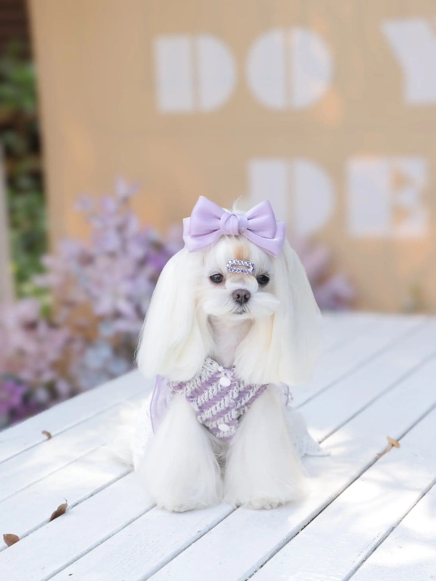 Améthyste Winter Dress – Plush Princess Dog Dress in Grape Ice for Small Dogs