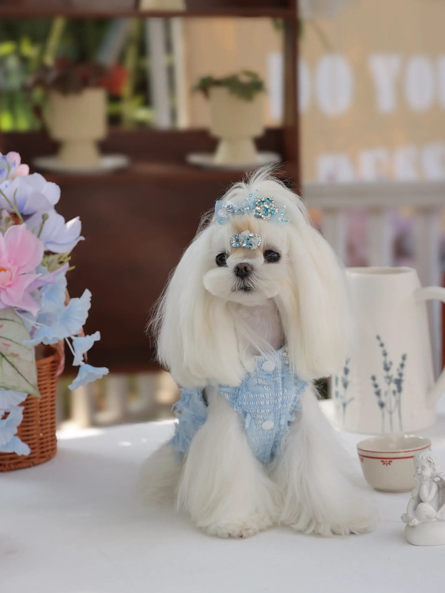 Luna Moonlight Jumpsuit – Luxury Princess Dog Dress in Misty Blue for Small Breeds