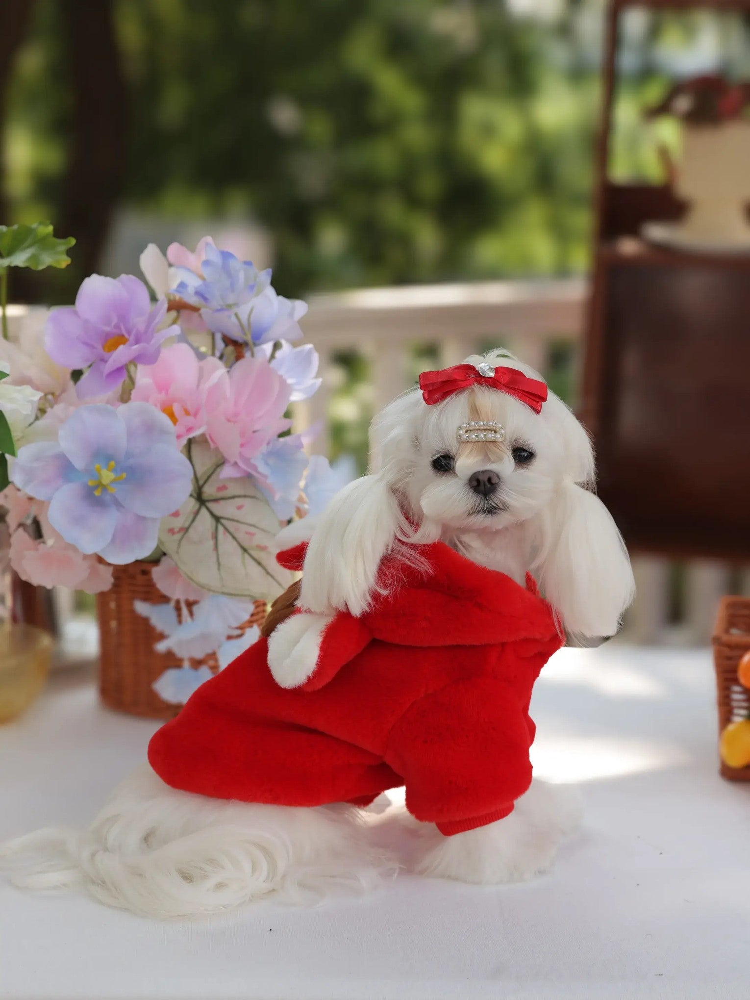 Korean Japanese Style Christmas Dog Coat - Red Warm Fleece Jacket for Small Puppies