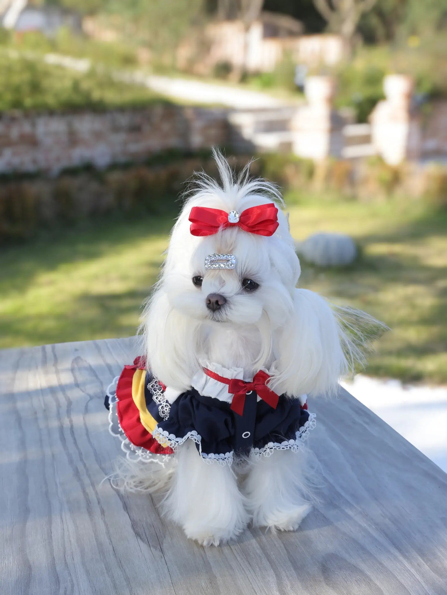 Hanami Bloom Dress – Floral Korean-Japanese Style Dog Dress for Small Dogs