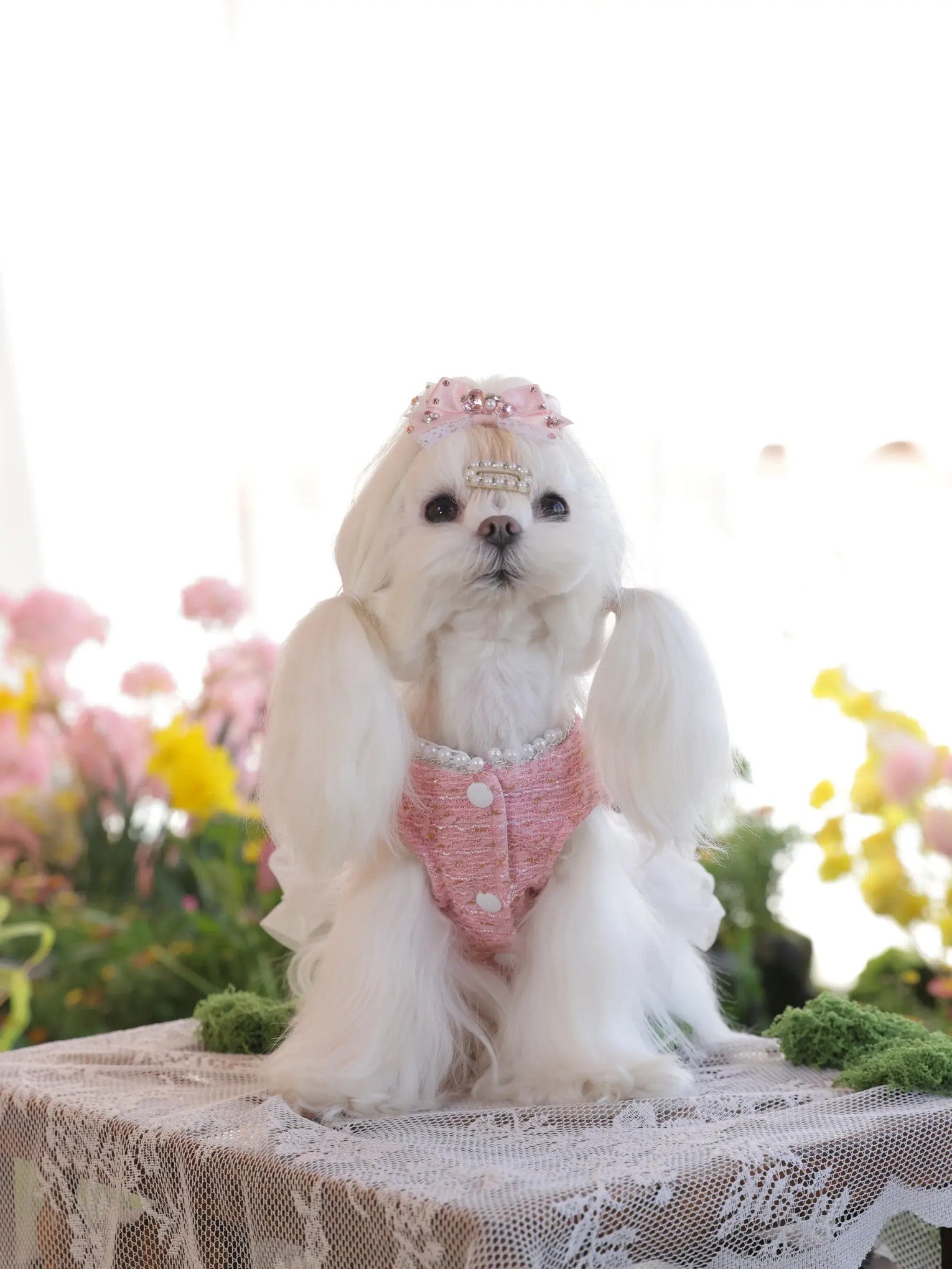 Amélie Tweed Dress – Pink Korean-Style Dog Dress for Small Dogs, Chanel-Inspired Elegant Outfit