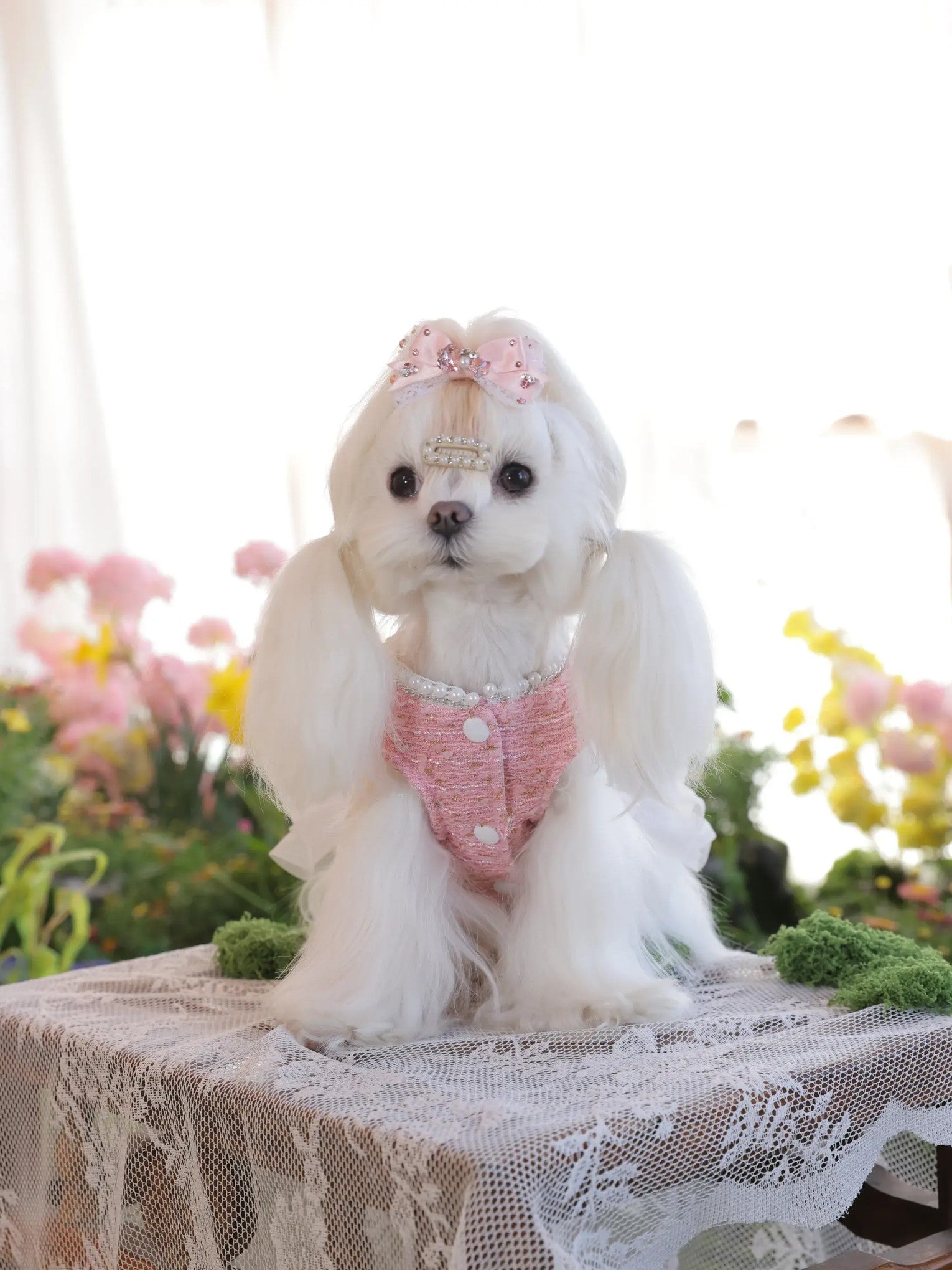 Amélie Tweed Dress – Pink Korean-Style Dog Dress for Small Dogs, Chanel-Inspired Elegant Outfit