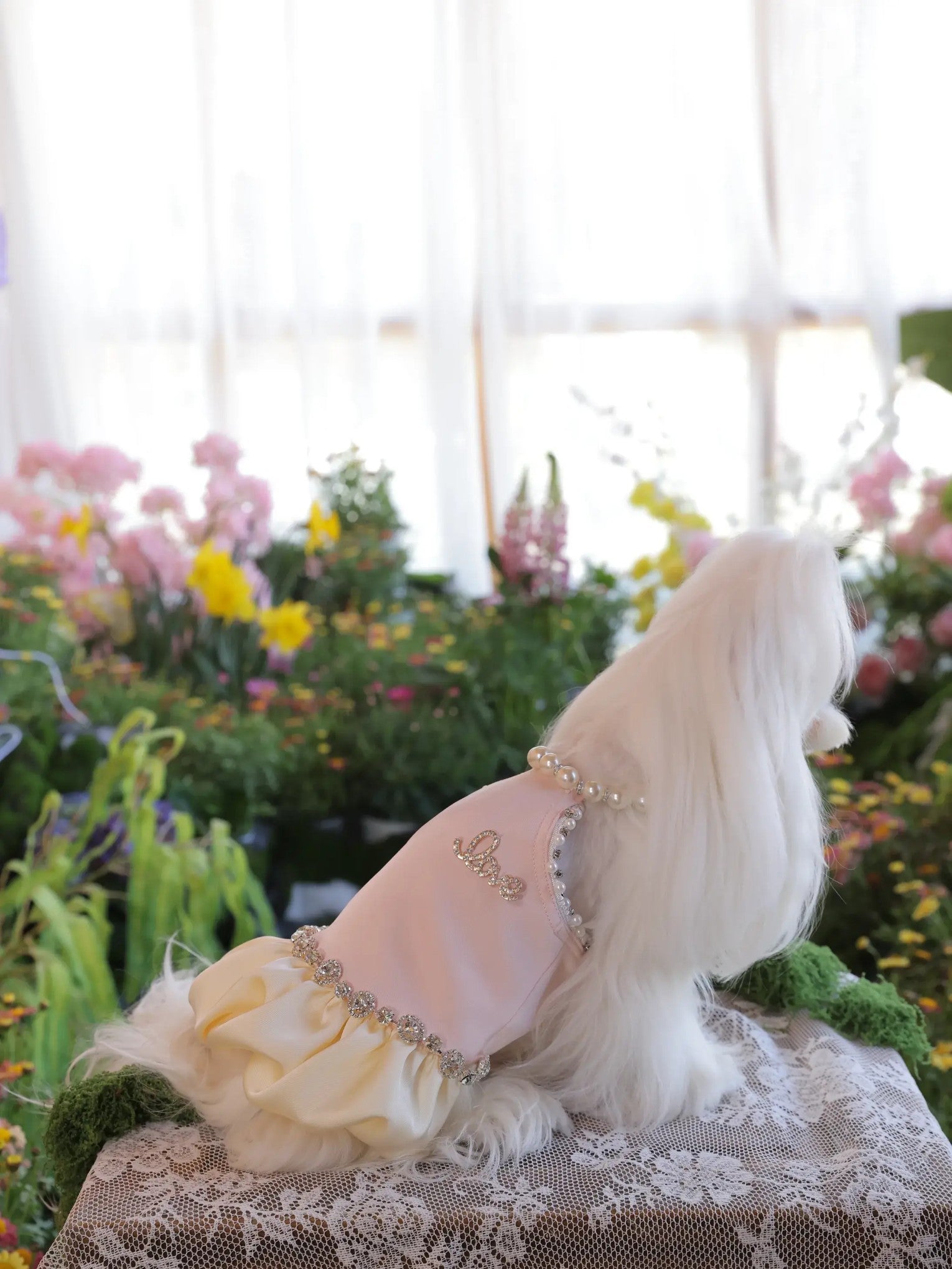 Amoura Halter Dress – Pink Princess Dog Dress with Pearls & Crystals for Small Dogs