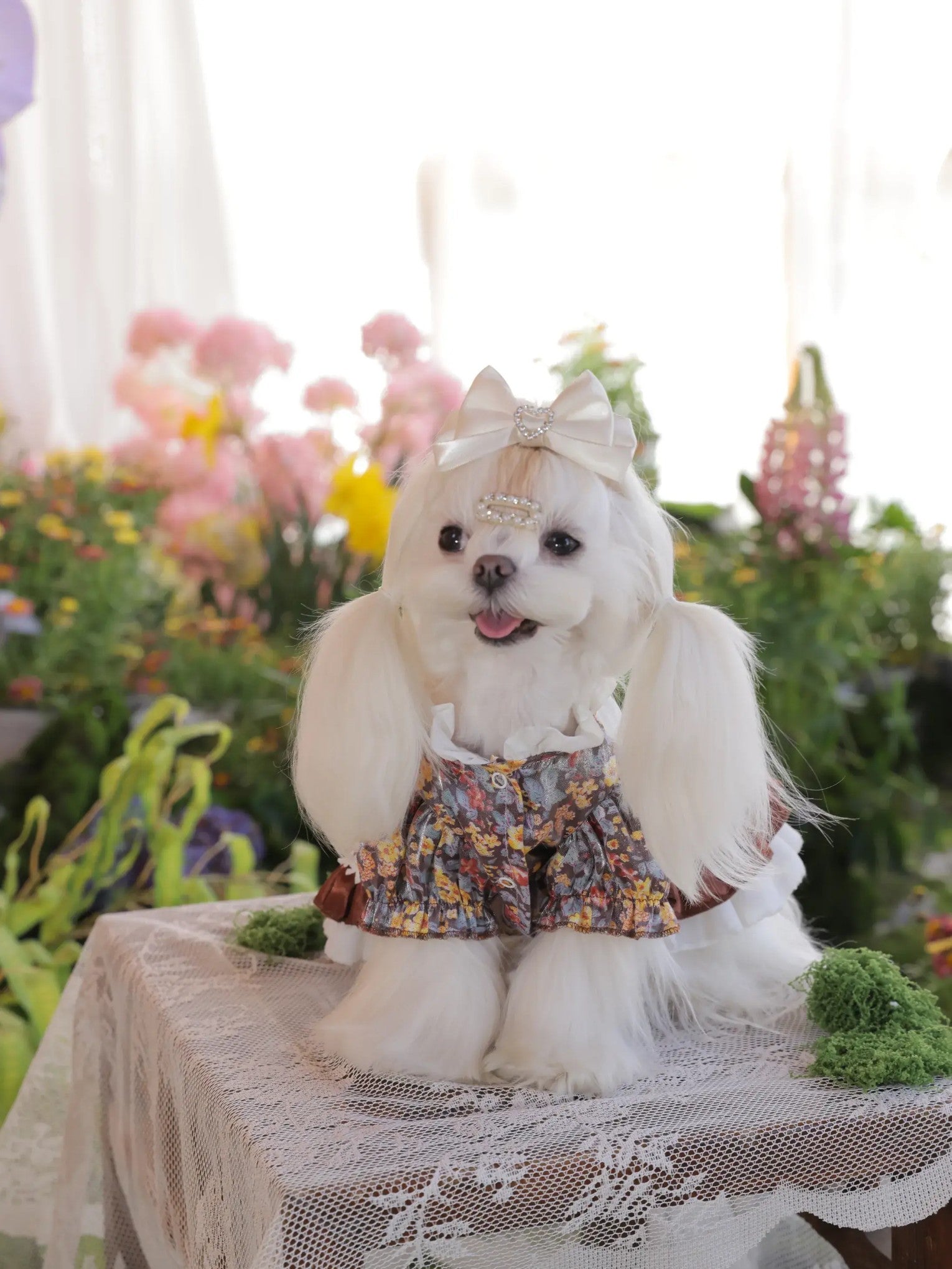 Lumière Floral Dress – High-End Lolita Dog Princess Dress with Japanese-Inspired Print for Small Dogs