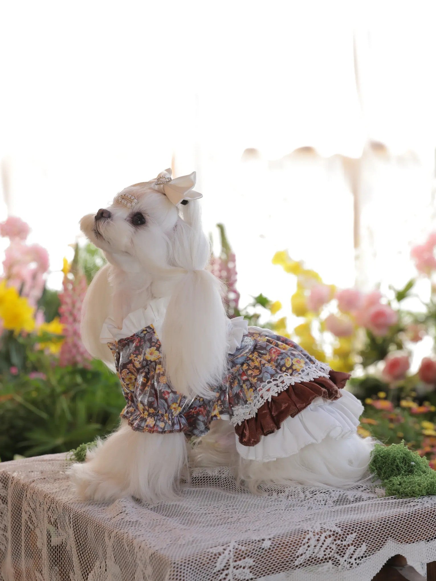 Lumière Floral Dress – High-End Lolita Dog Princess Dress with Japanese-Inspired Print for Small Dogs