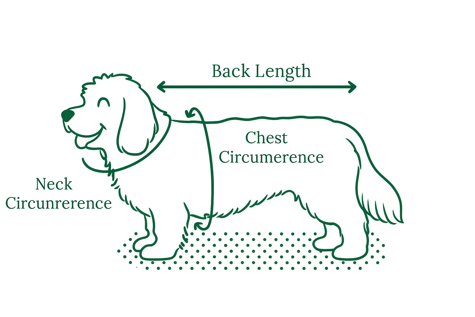 Dog measurement guide